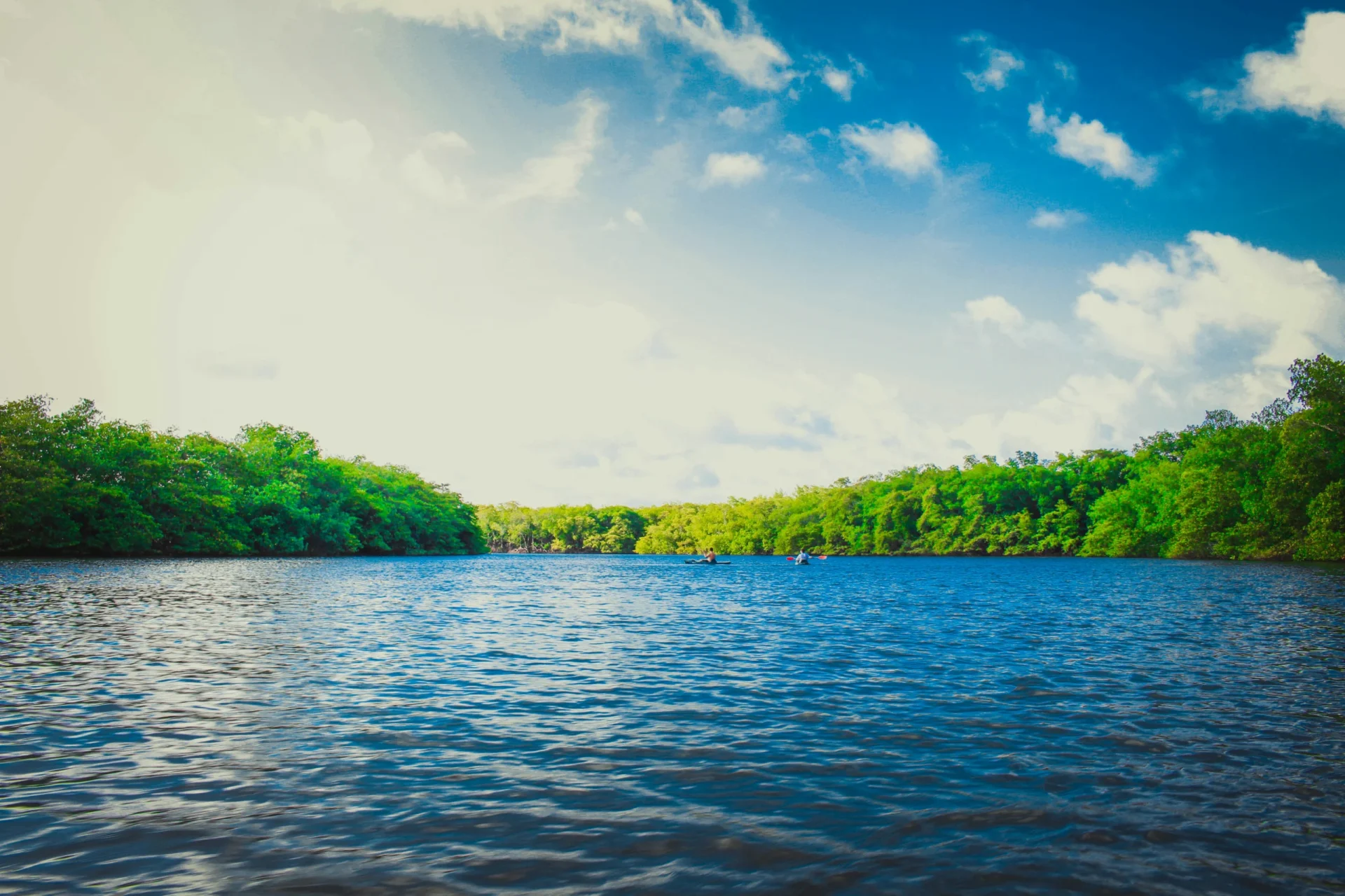 Lake surrounded by woods